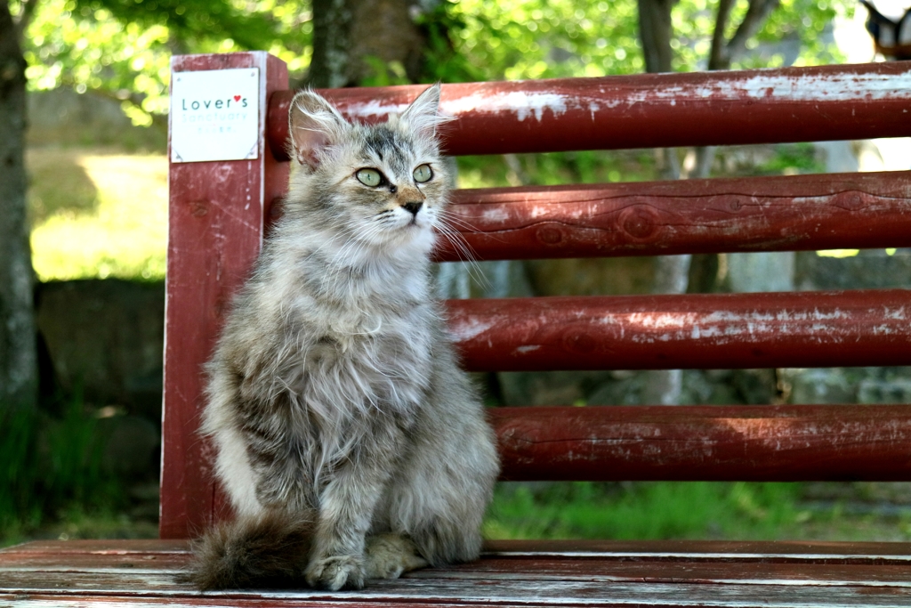 しっとりちゃん