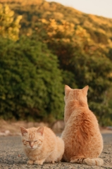 師弟