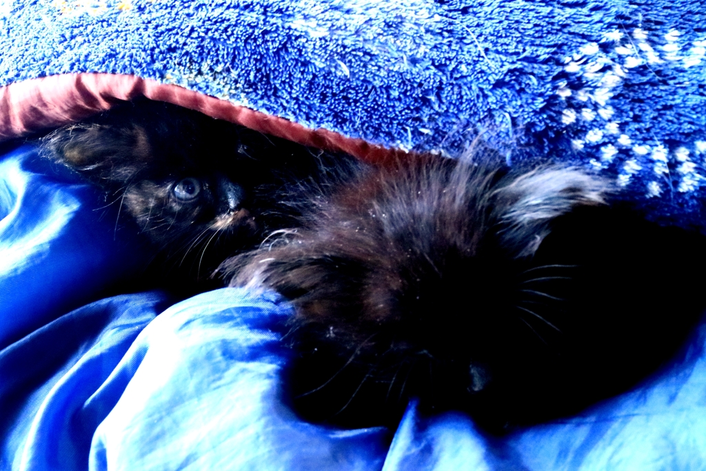 俺の横で寝てるよ