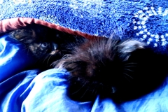 俺の横で寝てるよ