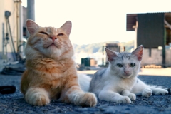 読めない表情先生