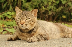 はいっここで問題です