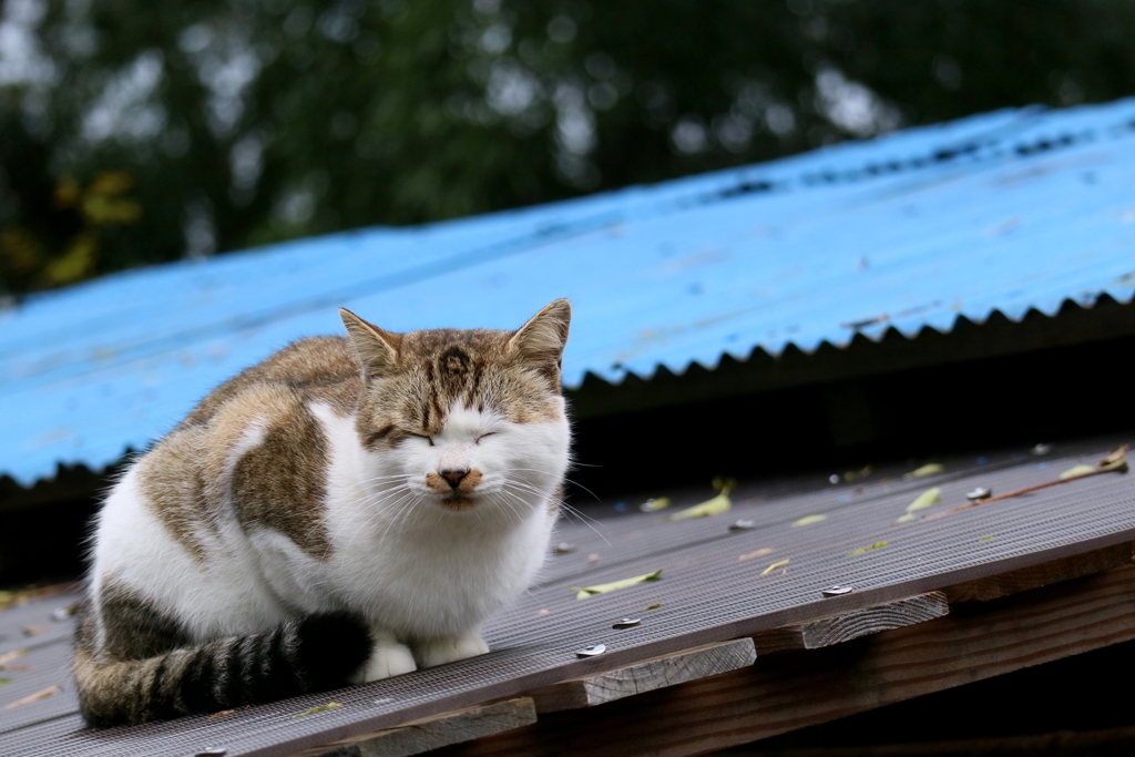 寒さ堪える先生