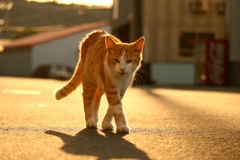 ウォーカーアサルトちゃん