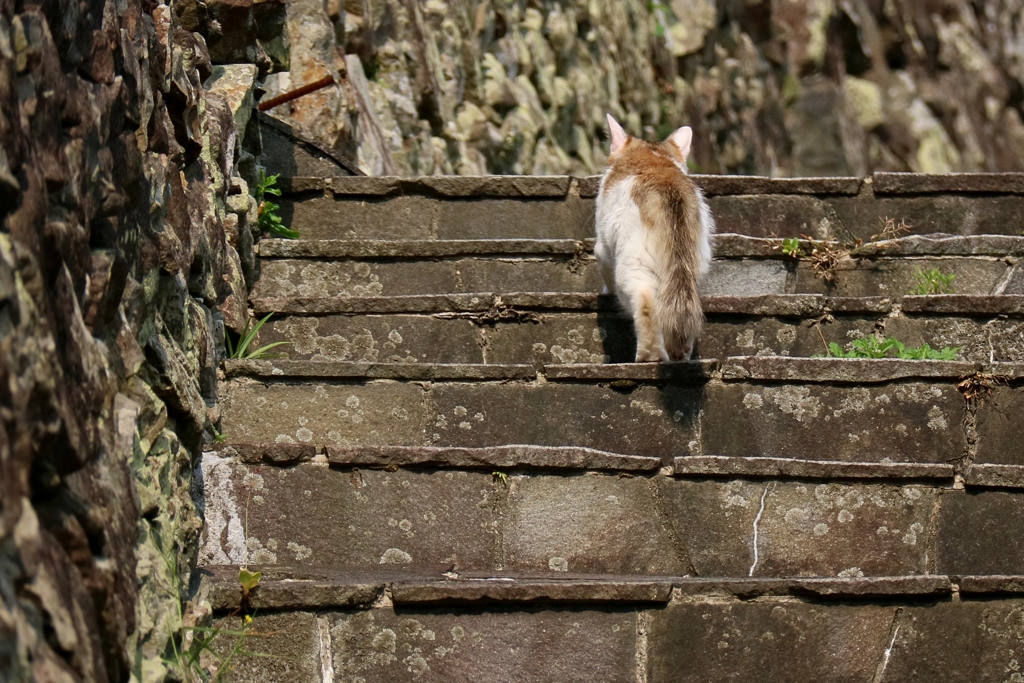 クライマー列伝