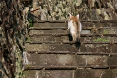 クライマー列伝