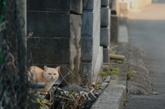 要撃先生
