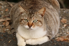 とろけちゃいそう