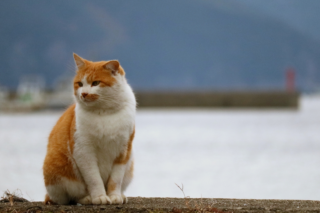 いつものところでいつものように