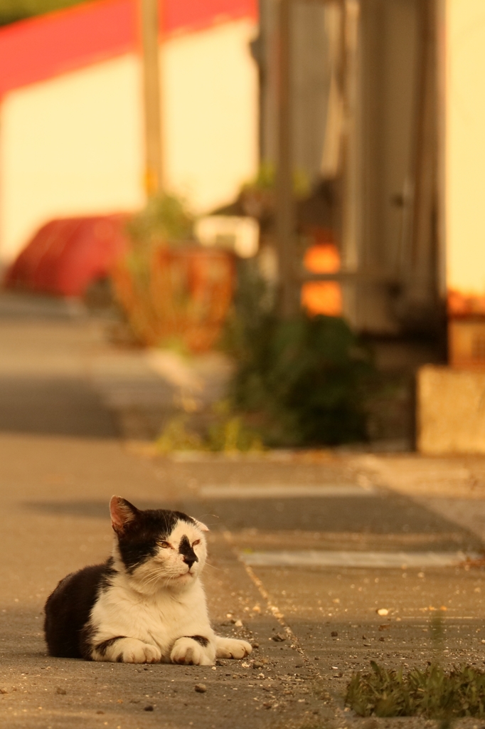 面相惡夫リラックス