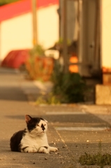 面相惡夫リラックス