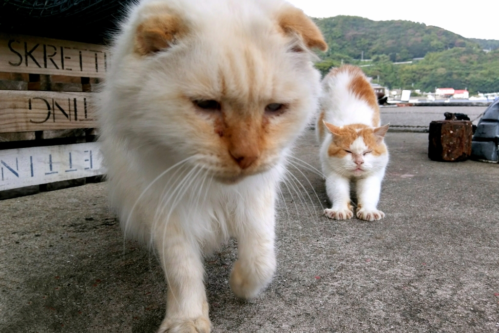 記憶にない