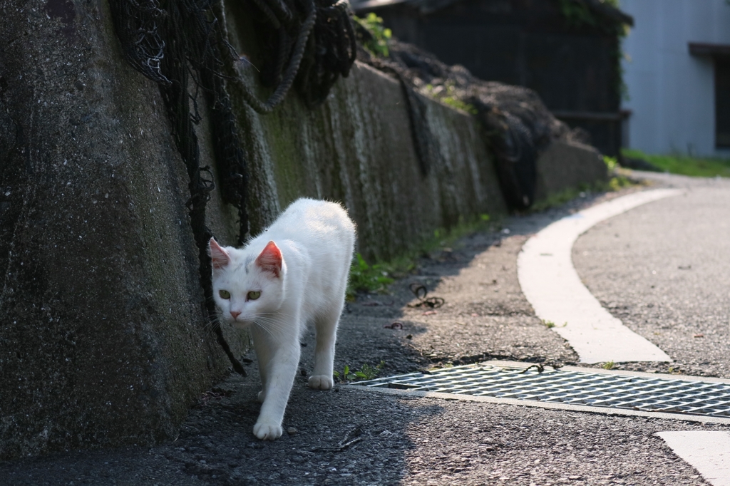 かなり暑い