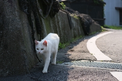 かなり暑い