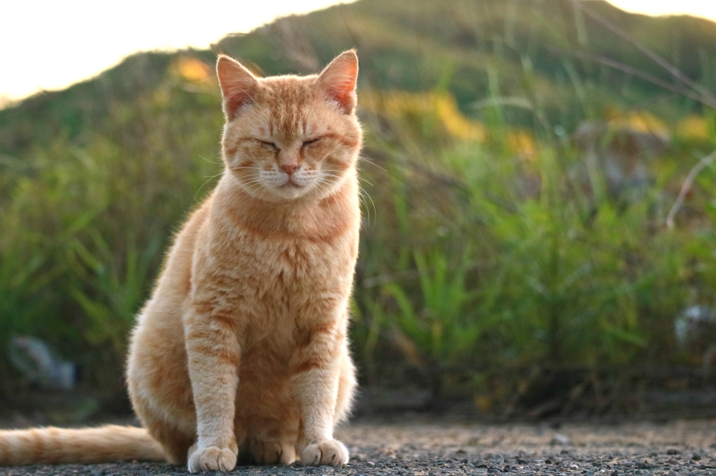 最近弟子をとった