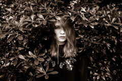 black portrait