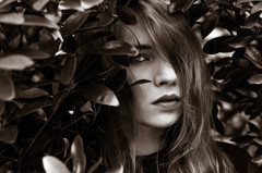 more black portrait 