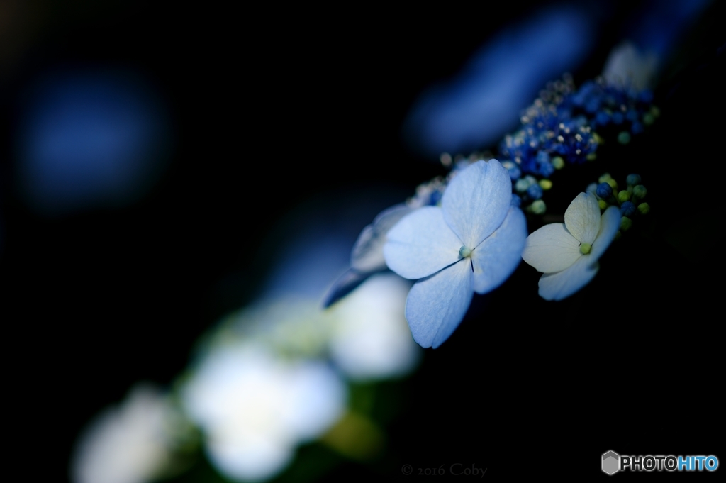 DSC_5895_2