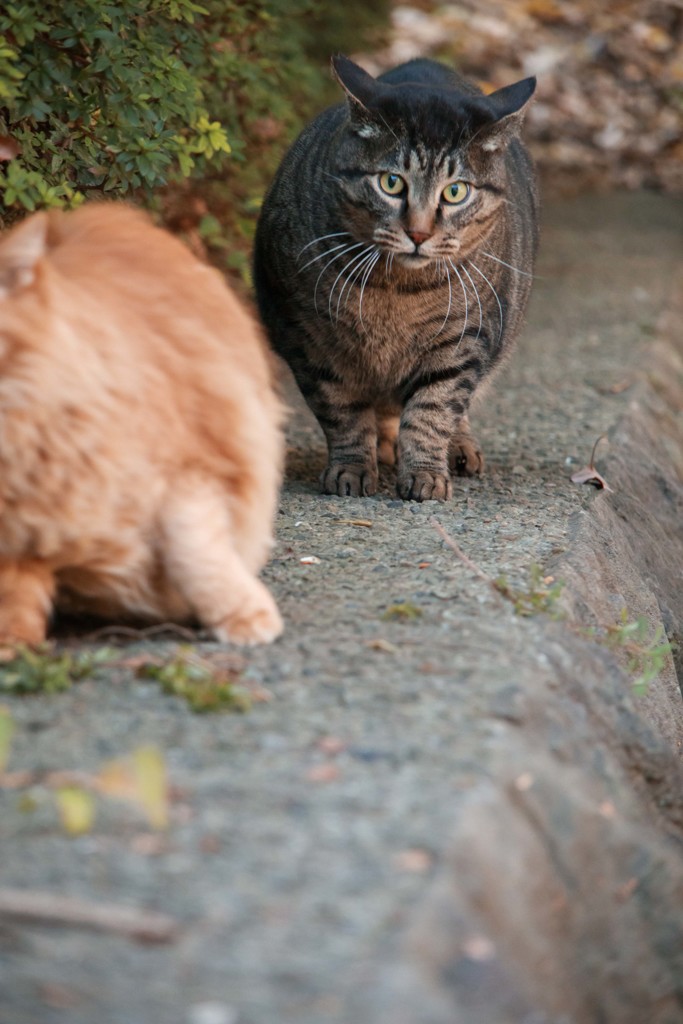 さぐり