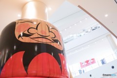 giant darumaotoshi
