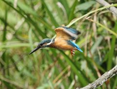 木染月１８−３