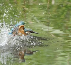 木染月１８−１