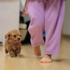 親友