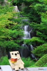 のんびり読書