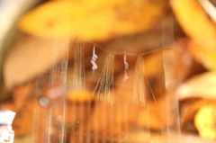 神泉
