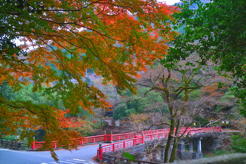 芳井町　天神峡　その2