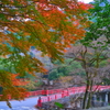 芳井町　天神峡　その2