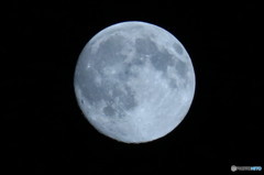 特大満月