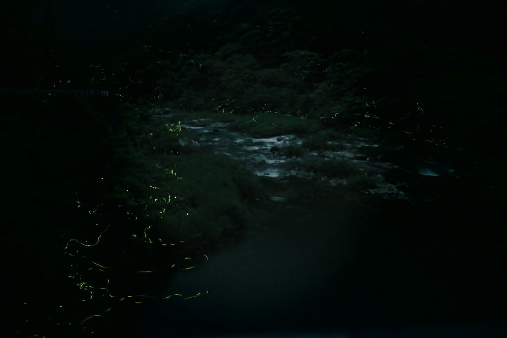 渓谷とホタル　その1