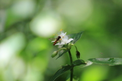 近すぎて遠くへ