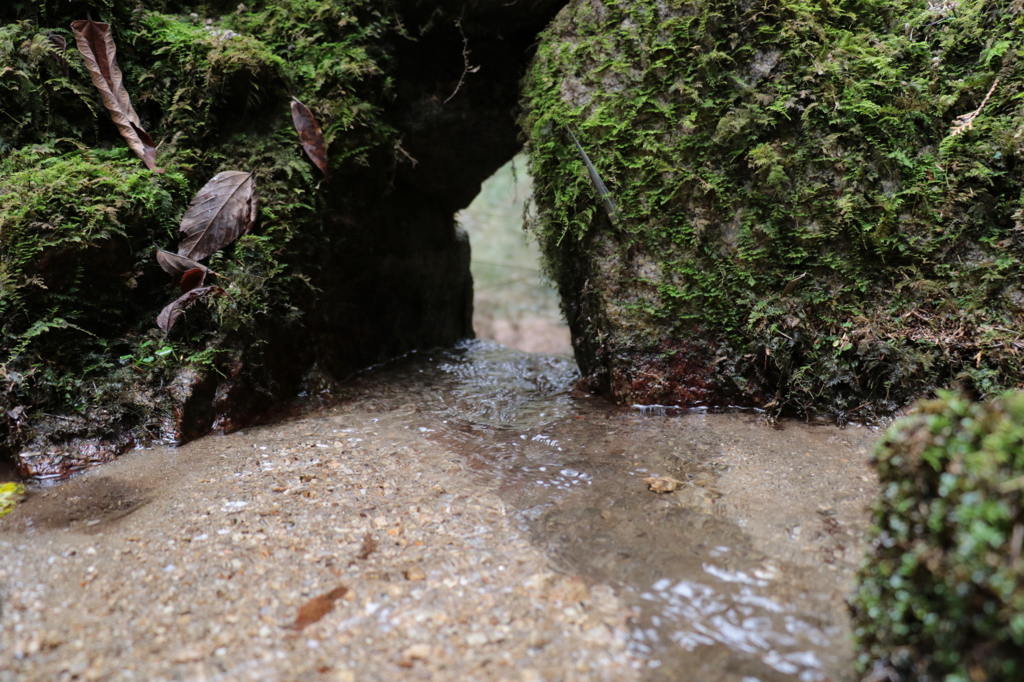 蓮華寺山の登山にて　その2