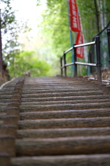 蓮華寺