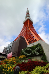 東京タワーとノッポン兄弟　―その2―