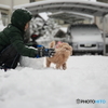 雪積もってるよ～