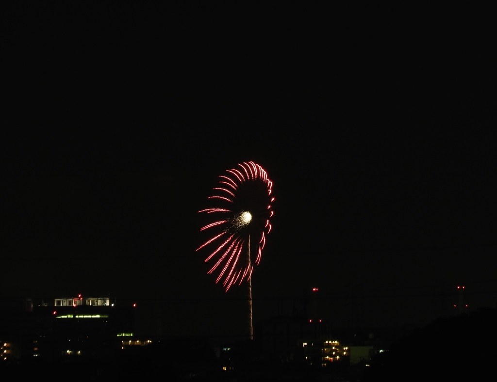 横浜スパークリングトワイライト2015 