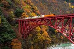 トロッコ電車