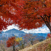 武甲山ともみじ