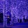 青の洞窟