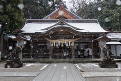 小雪舞う白山比咩神社