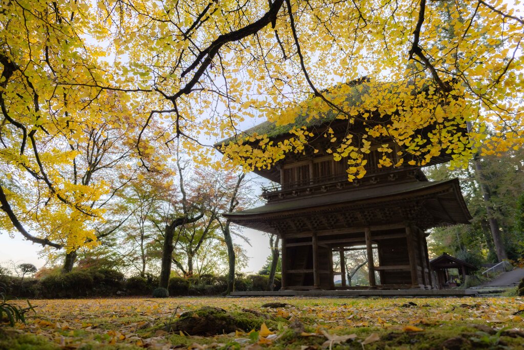 廣徳寺山門