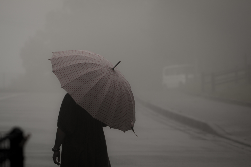 雨