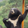 僕にもちょうだい！