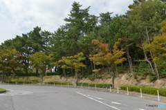 岡崎南公園