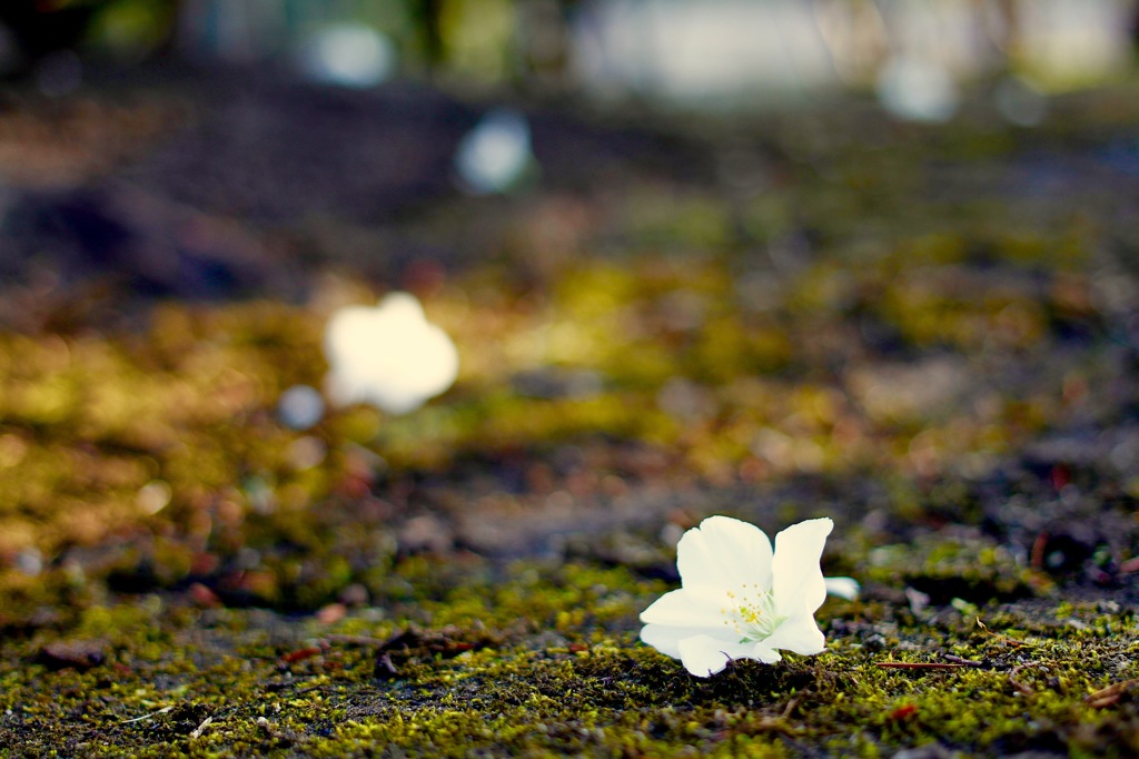 犯人は誰か、、、