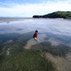 少年よ、水棲生物の研究？