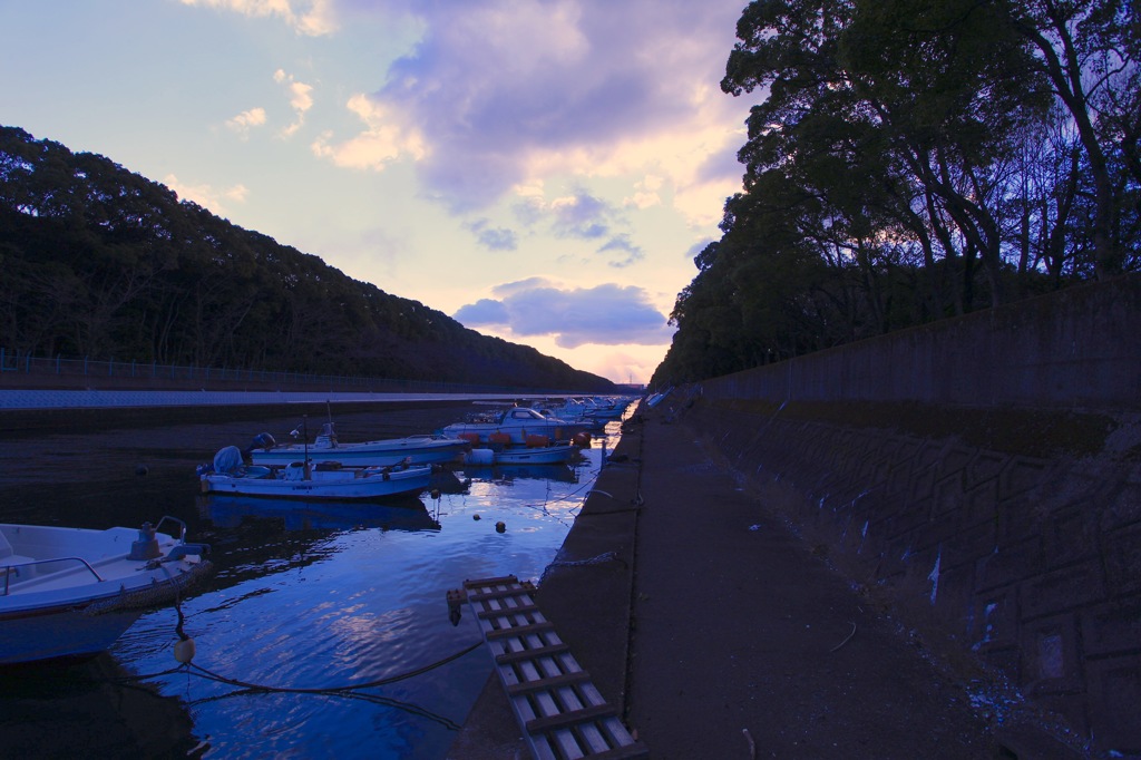 朝の裏川放水路